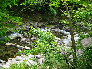 ＧＷシリーズ　８　伊豆湯ヶ島温泉　あせび野_e0170313_8574033.jpg