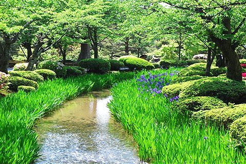 萌ゆる緑に包まれて。_c0116714_8334193.jpg