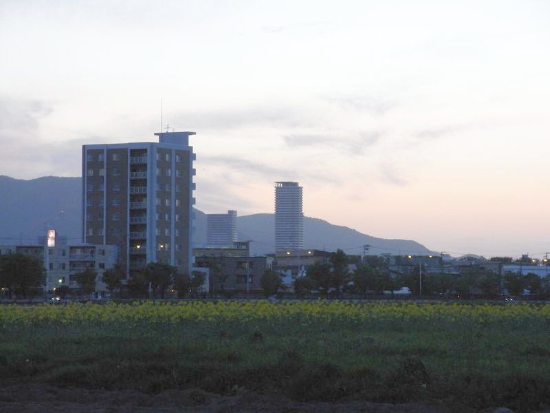 晩春の夕暮れ_c0025115_20192827.jpg