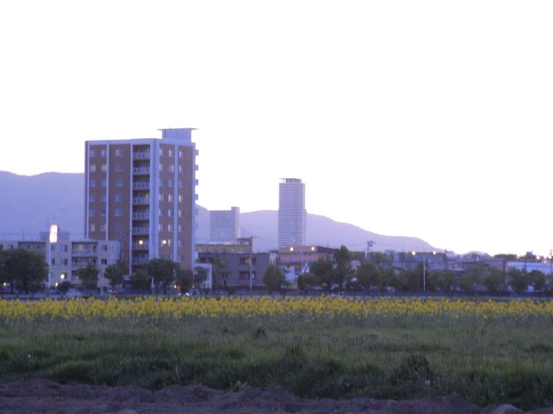 晩春の夕暮れ_c0025115_2051189.jpg