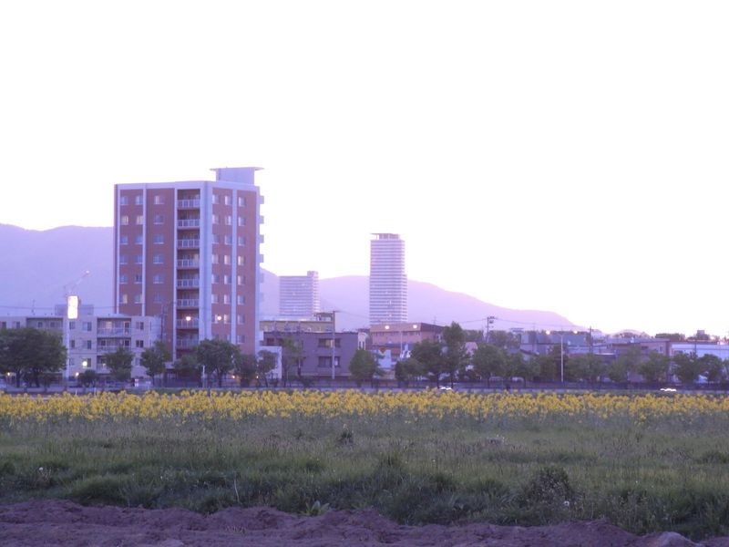 晩春の夕暮れ_c0025115_2052380.jpg