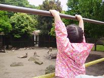 c0108315_1353822.jpg