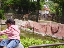 c0108315_136596.jpg
