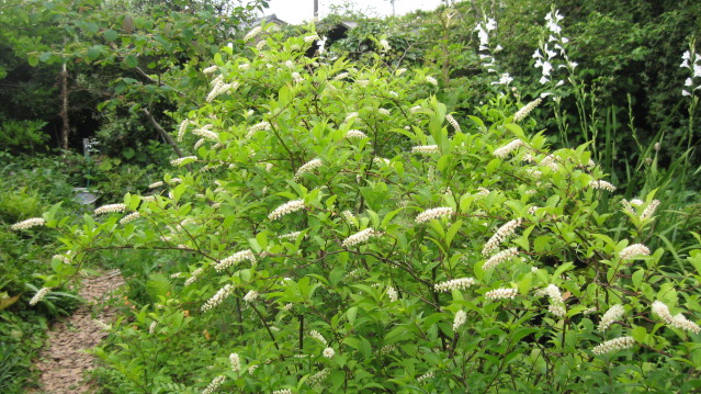 f0128316_14162967.jpg