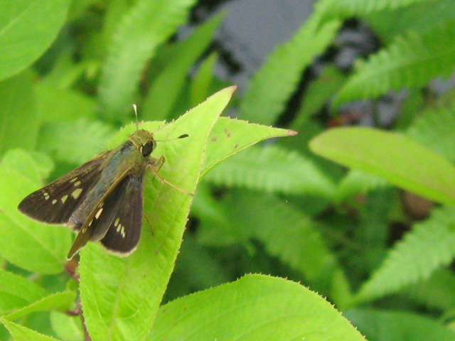 f0128316_14184171.jpg