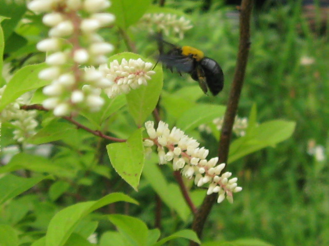 f0128316_14223332.jpg