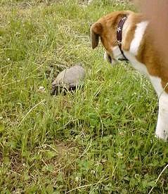 c0084117_1421992.jpg