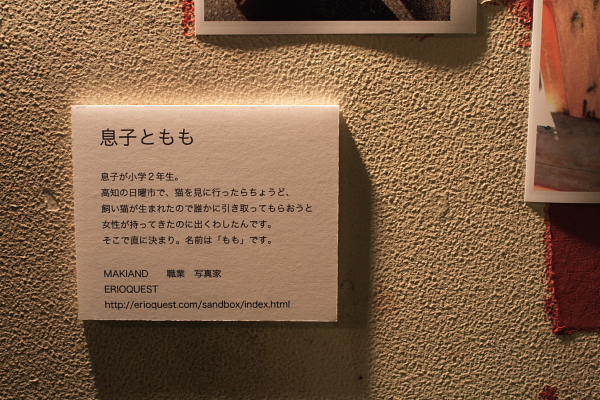 ねこ展：makiand_c0177317_1920088.jpg