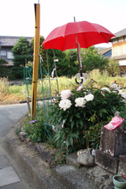 ＊わかったようなもんやろ_a0030038_20184366.jpg