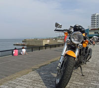 a0117039_3362370.jpg