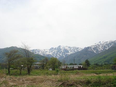 a0014840_23144550.jpg