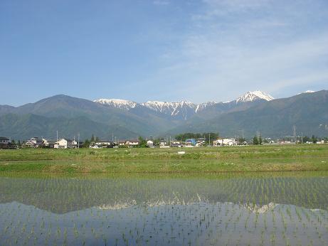 今日も安曇野は心地よく_a0014840_9241925.jpg