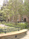 b0122441_15491025.jpg