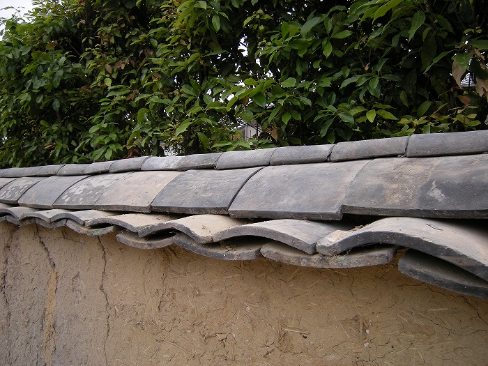 b0168041_16442641.jpg