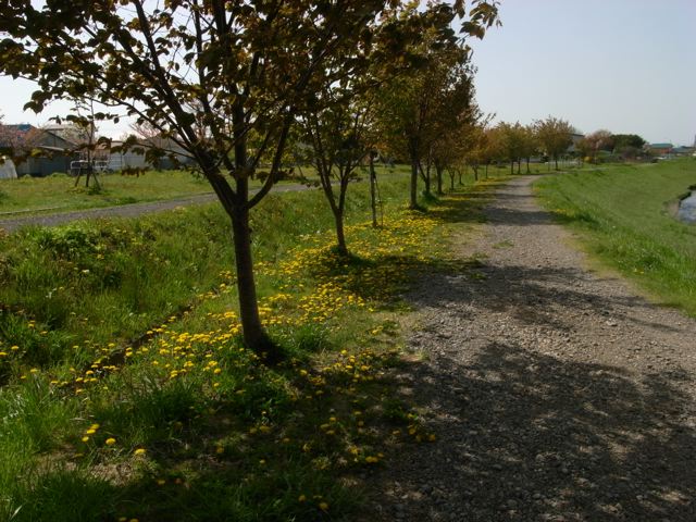 c0184643_2264179.jpg