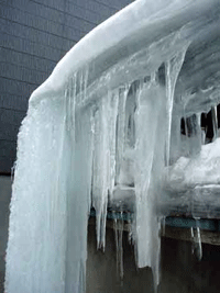 e0011951_17491587.gif