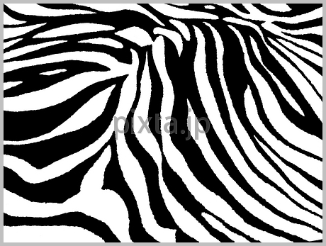 《 ZEBRA -1- 》_b0161652_16265329.jpg