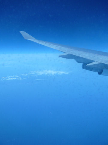 f0203452_233145.jpg