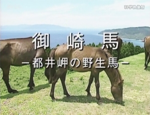 科学映像館、宮崎日日新聞で紹介される予定_b0115553_8463336.jpg