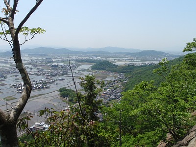 太郎坊山～箕作山はのんびりゆったり♪_c0097754_21313847.jpg