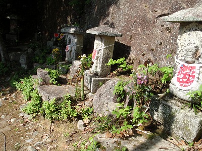 太郎坊山～箕作山はのんびりゆったり♪_c0097754_21395392.jpg