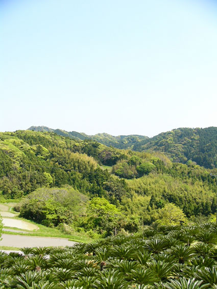 f0209058_25214.jpg