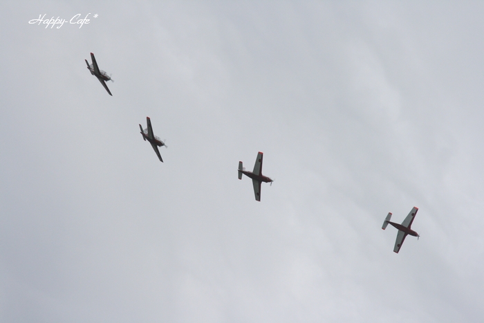 大空を翔ける飛行隊ー10機編隊_e0148667_1636980.jpg