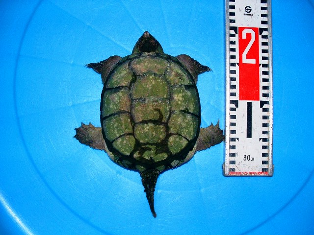 c0105569_17411.jpg
