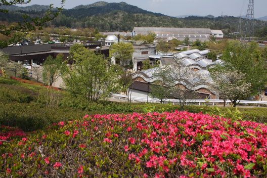 b0055171_22431295.jpg