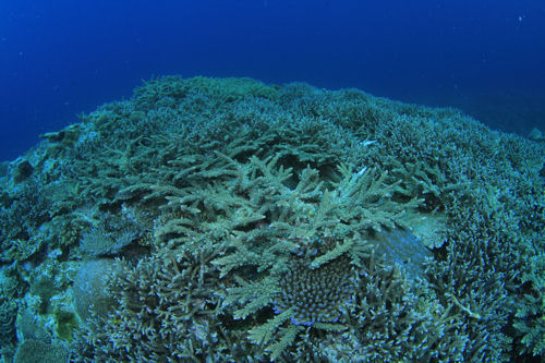 d0114375_23541814.jpg