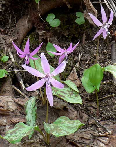 f0083977_22125072.jpg
