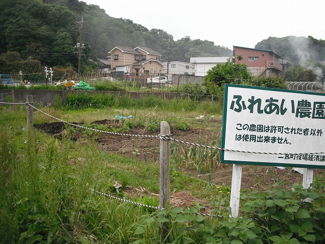 d0143678_031569.jpg