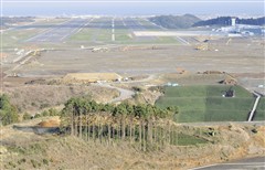 富士山静岡空港、立ち木の伐採～最後はひのき(最終的に179本)_c0160488_1310064.jpg