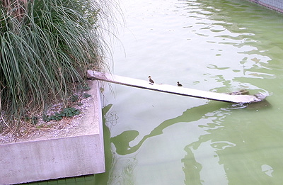 f0024090_2224142.jpg