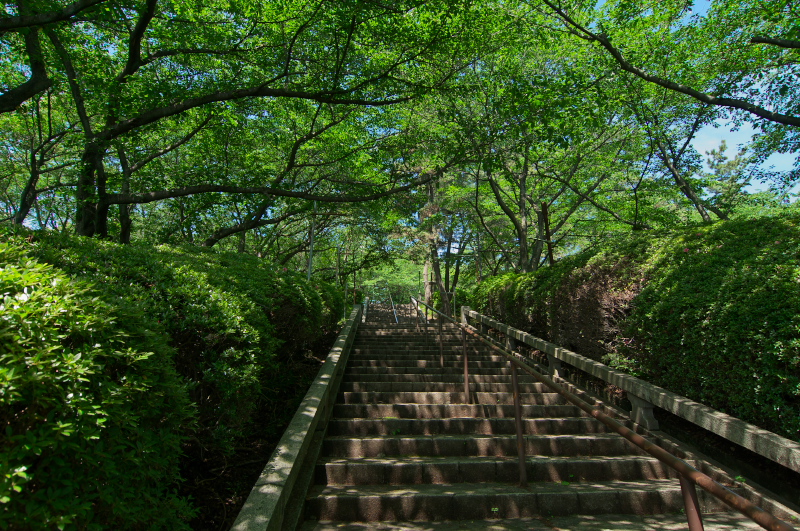 b0178292_20144234.jpg