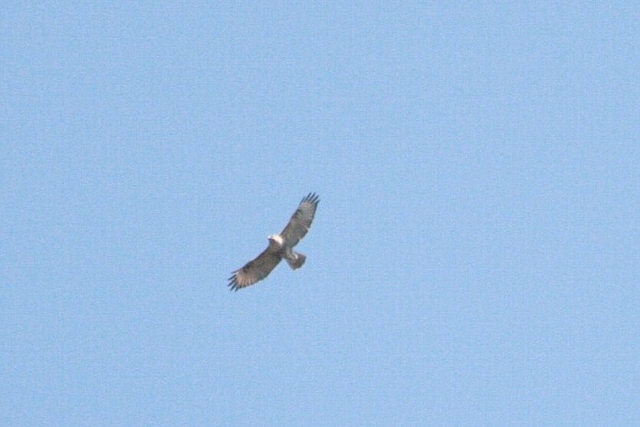 d0133693_22201499.jpg