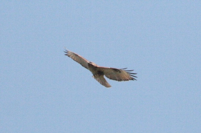 d0133693_2220714.jpg