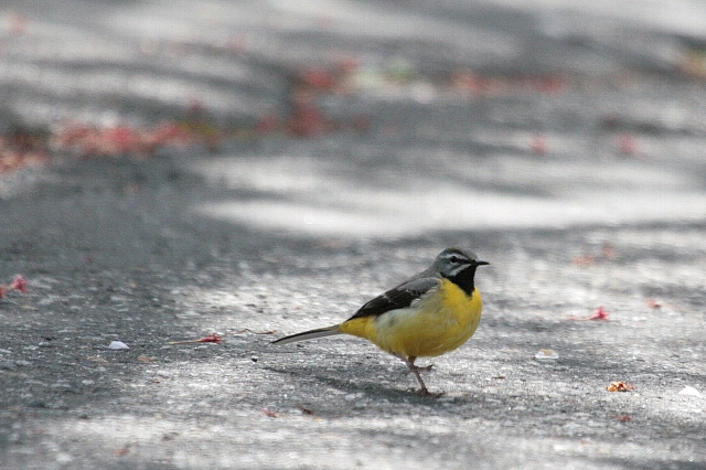 d0133693_22212249.jpg