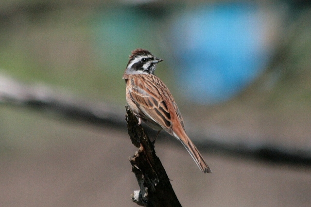 d0133693_22215191.jpg