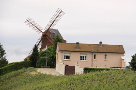 c0090198_38218.jpg