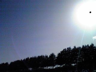 f0122998_96795.jpg
