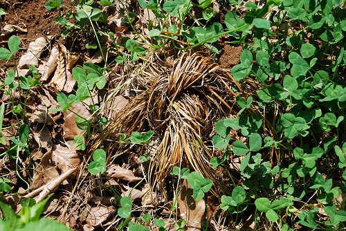 c0124100_1634109.jpg