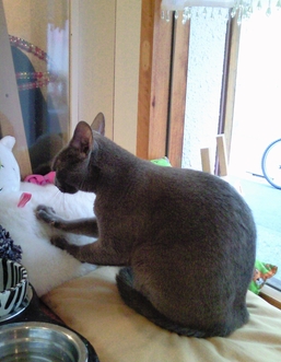 c0181601_142496.jpg