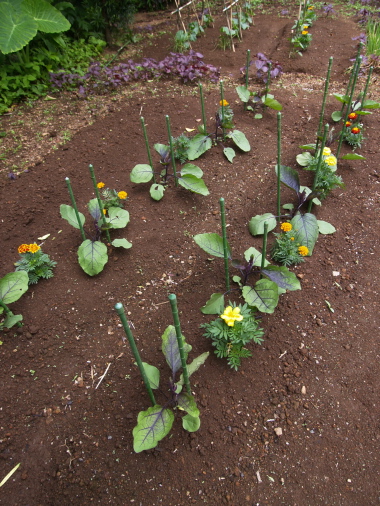 花の香りに包まれて_e0089001_2055243.jpg