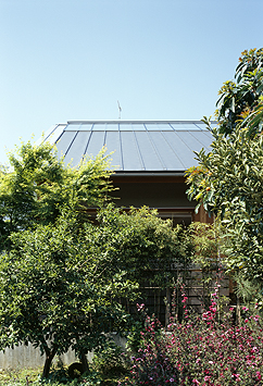 小田原の家_b0014003_1451819.jpg