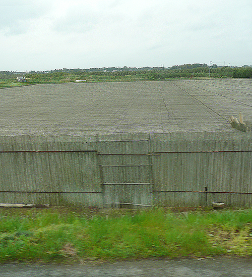 上総の家_b0014003_22443271.jpg
