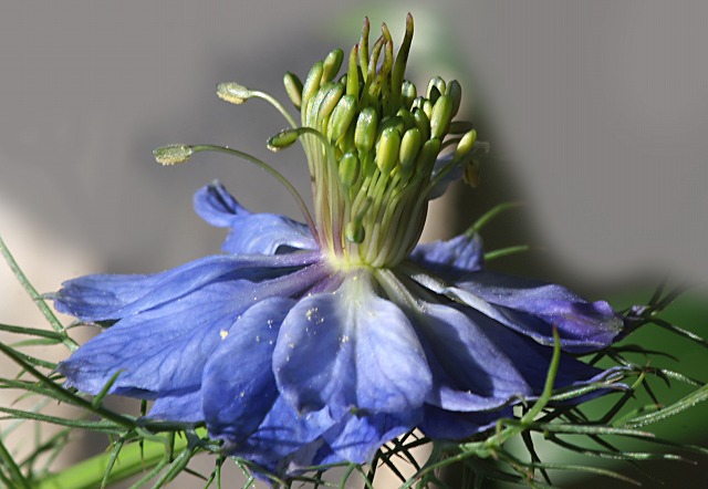 e0039703_2256750.jpg