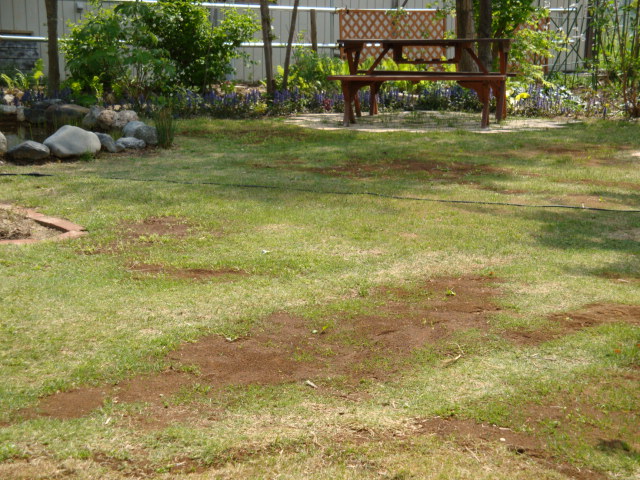 e0175905_20154569.jpg