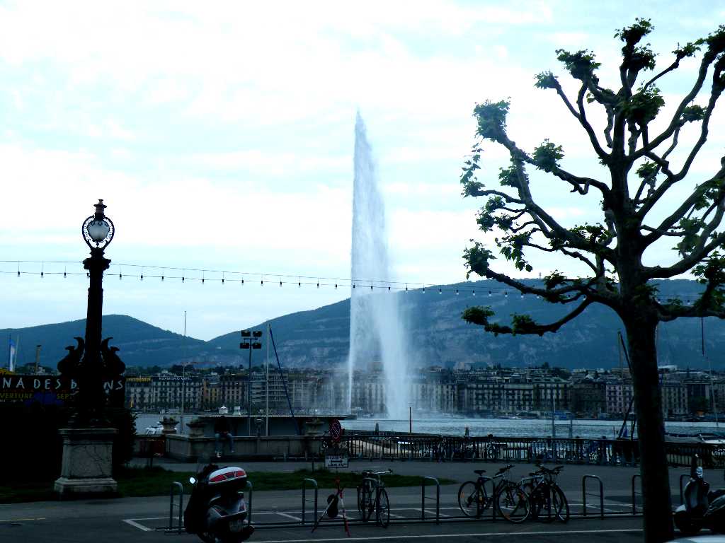 d0140806_1730309.jpg