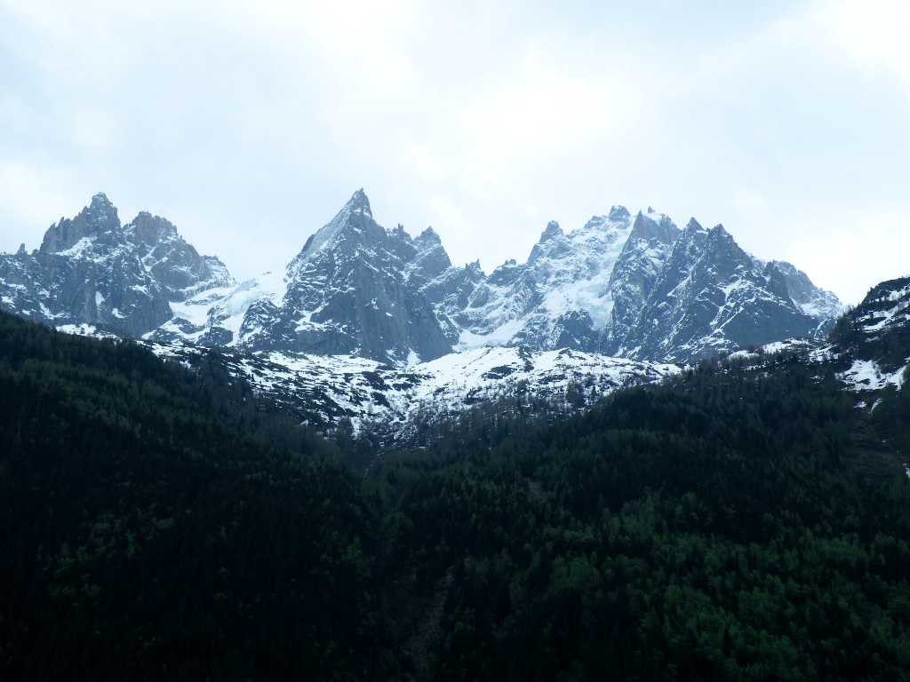 d0140806_175331.jpg